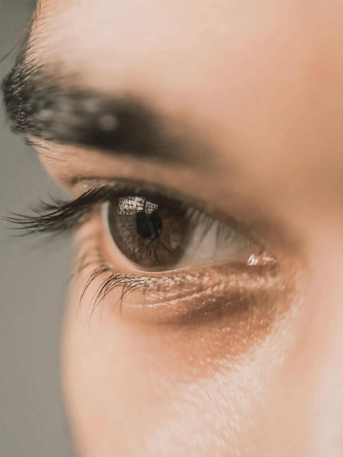 Close-up of long, defined lashes beneath a full, dark brow