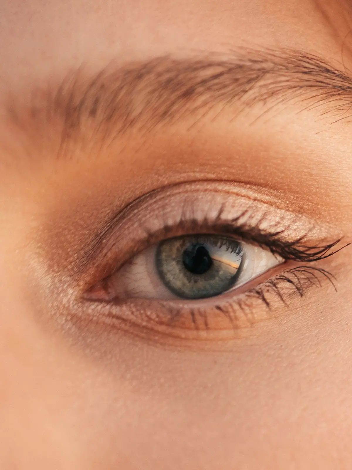 Close-up of a green-grey eye with lifted, separated lashes and a soft, feathered brow